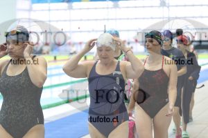 Image Libre Damas 00219