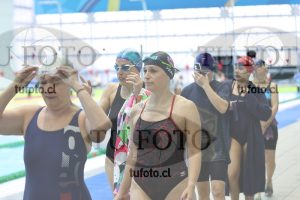 Image Libre Damas 00221