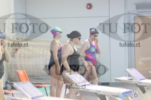 Image Libre Damas 00237