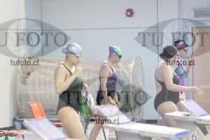 Image Libre Damas 00238