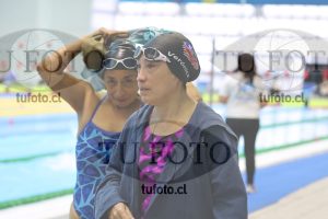 Image Libre Damas 00265
