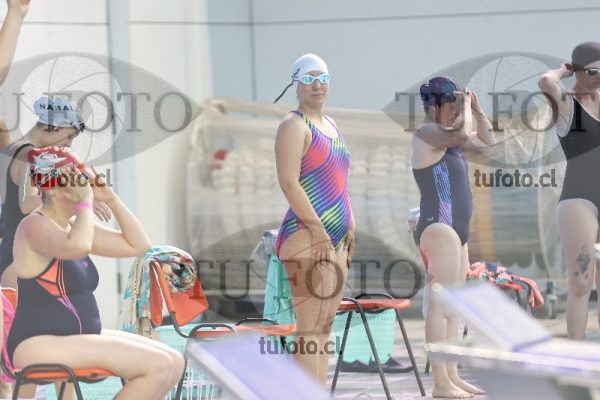 Image Libre Damas 00274