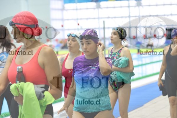 Image Libre Damas 00296