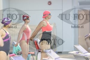 Image Libre Damas 00312