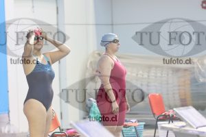 Image Libre Damas 00345