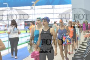 Image Libre Damas 00395