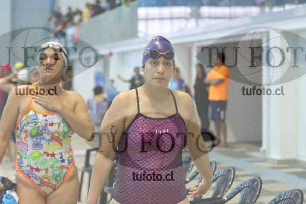 Image Libre Damas 00423