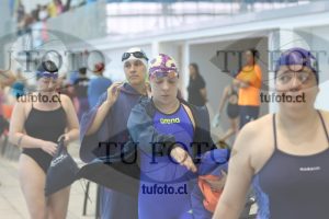 Image Libre Damas 00458