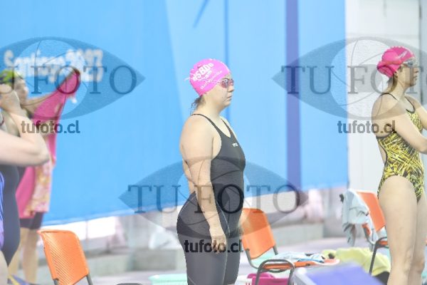 Image Libre Damas 00465