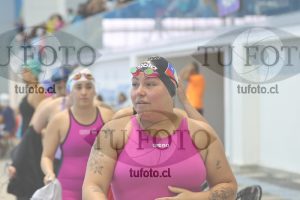 Image Libre Damas 00479