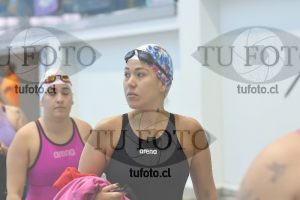 Image Libre Damas 00481