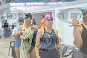 Image Libre Damas 00488