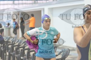 Image Libre Damas 00490