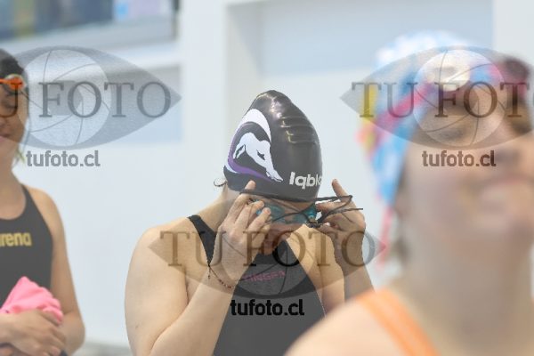 Image Libre Damas 00519