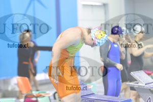 Image Libre Damas 00524