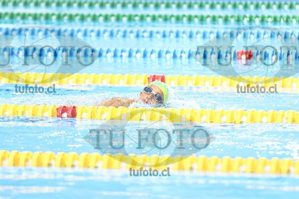 Image master 800 libre damas 00022