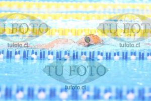 Image master 800 libre damas 00125