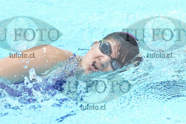 Image master 800 libre damas 00146