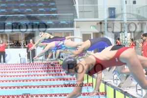 Image master 800 libre damas 00164