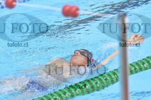 Image master 100 espalda varones 00044