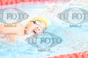 Image 1 200 libre M 00052