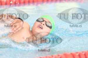 Image 1 200 libre M 00096