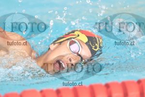 Image 1 200 libre M 00175