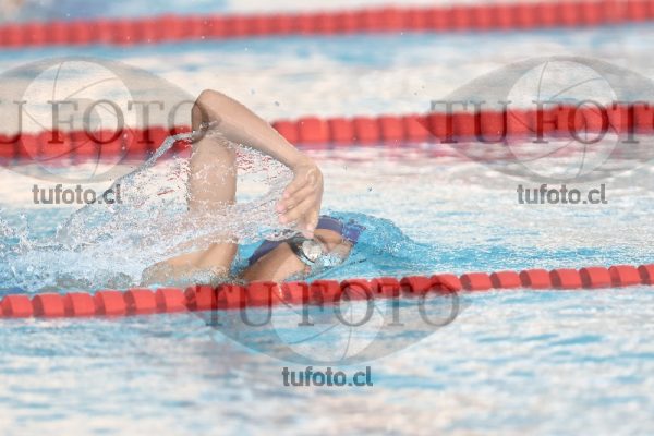 Image 1 200 libre M 00236