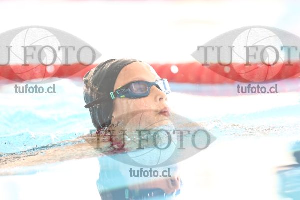 Image 1 pecho D 00018