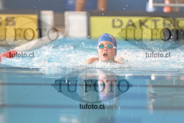 Image 1 pecho D 00029