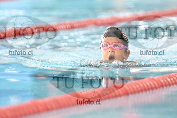 Image 1 pecho D 00049