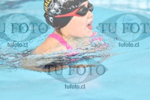 Image 1 pecho D 00054