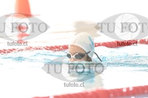 Image 1 pecho D 00107