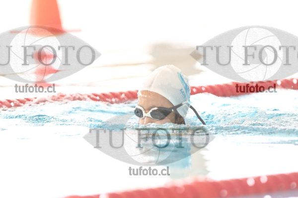 Image 1 pecho D 00107