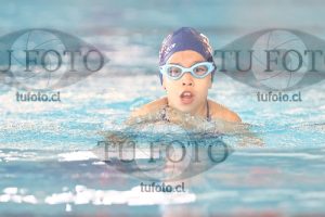 Image 1 pecho D 00129