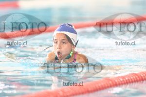 Image 1 pecho D 00164