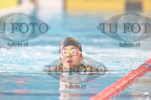 Image 1 pecho D 00167