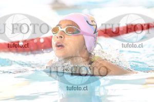 Image 1 pecho D 00195