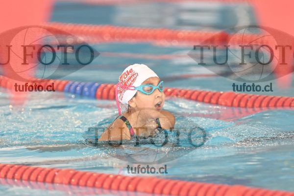 Image 1 pecho D 00200