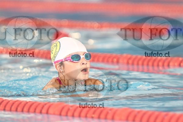 Image 1 pecho D 00239