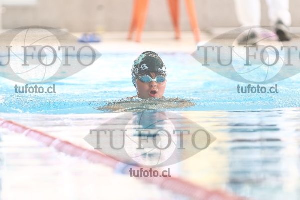 Image 2 pecho V 00011