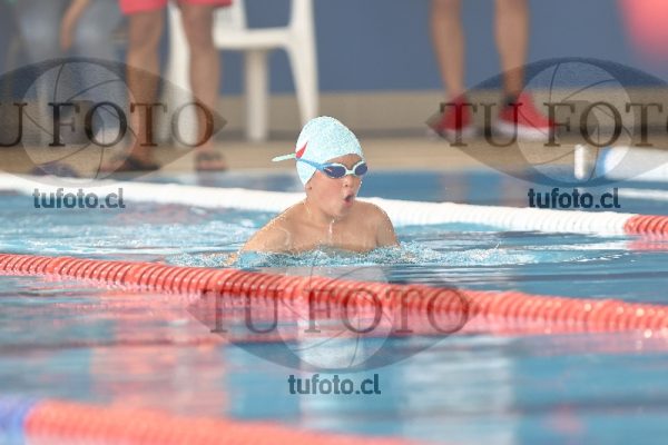 Image 2 pecho V 00032