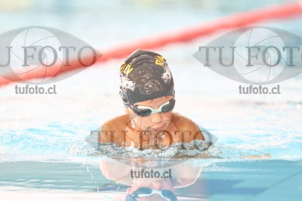 Image 2 pecho V 00058