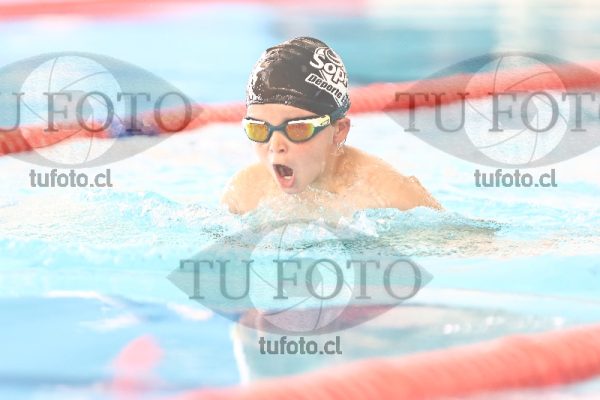 Image 2 pecho V 00060