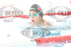 Image 2 pecho V 00084