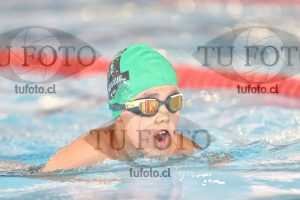 Image 2 pecho V 00106
