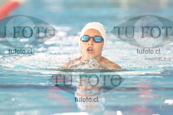 Image 2 pecho V 00115