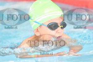 Image 2 pecho V 00141