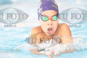 Image 2 pecho V 00205