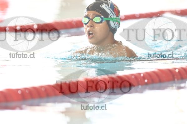 Image 2 pecho V 00208